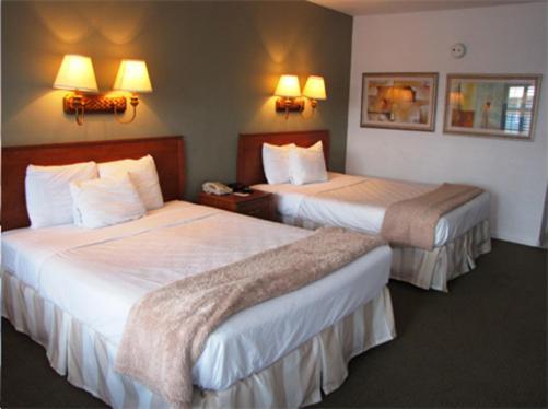 Blue Marlin Motel Key West Chambre photo